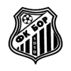 Bor 1919